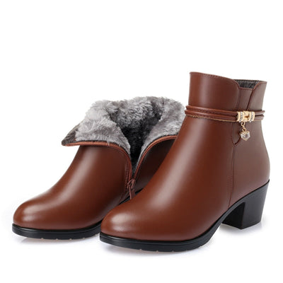 Ashford Luxe Ankle Boots