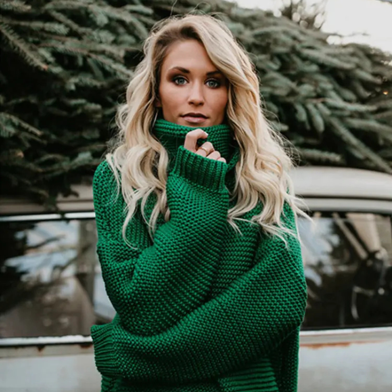 Highland Haven Turtleneck Sweater