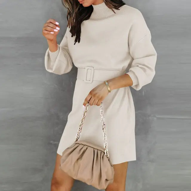 Alana Turtleneck Sweater Dress with Belt